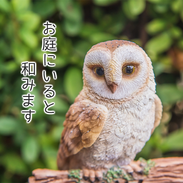 梟 ふくろう フクロウ 置き物 オブジェ