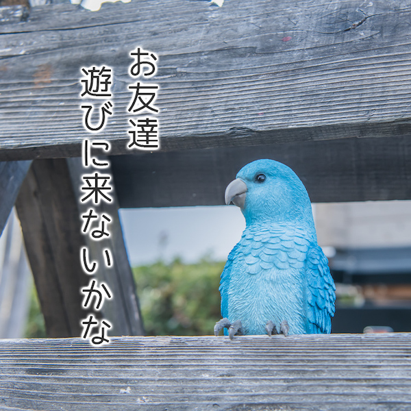 青い鳥 オウム 置き物 オブジェ