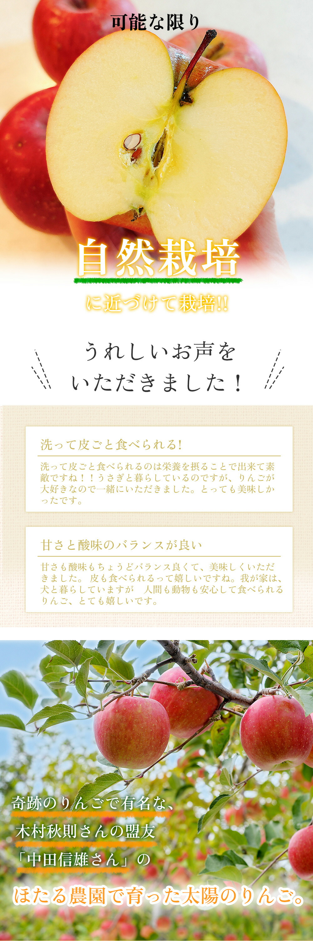 太陽のりんご