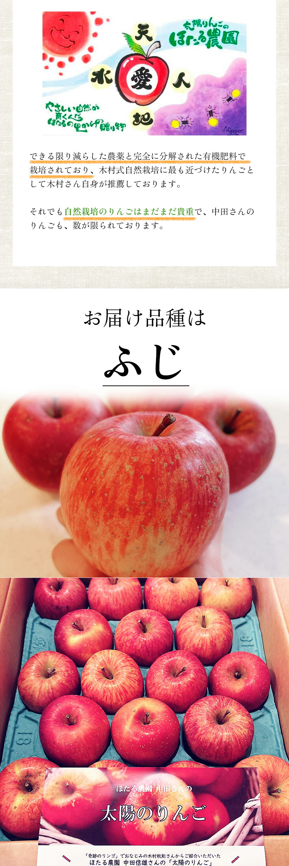 太陽のりんご