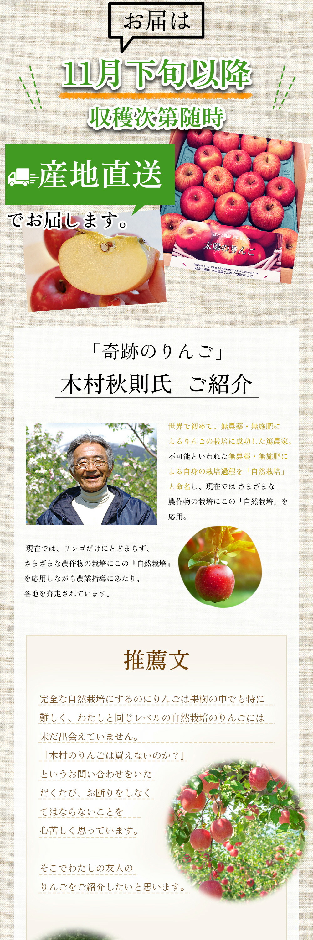 太陽のりんご