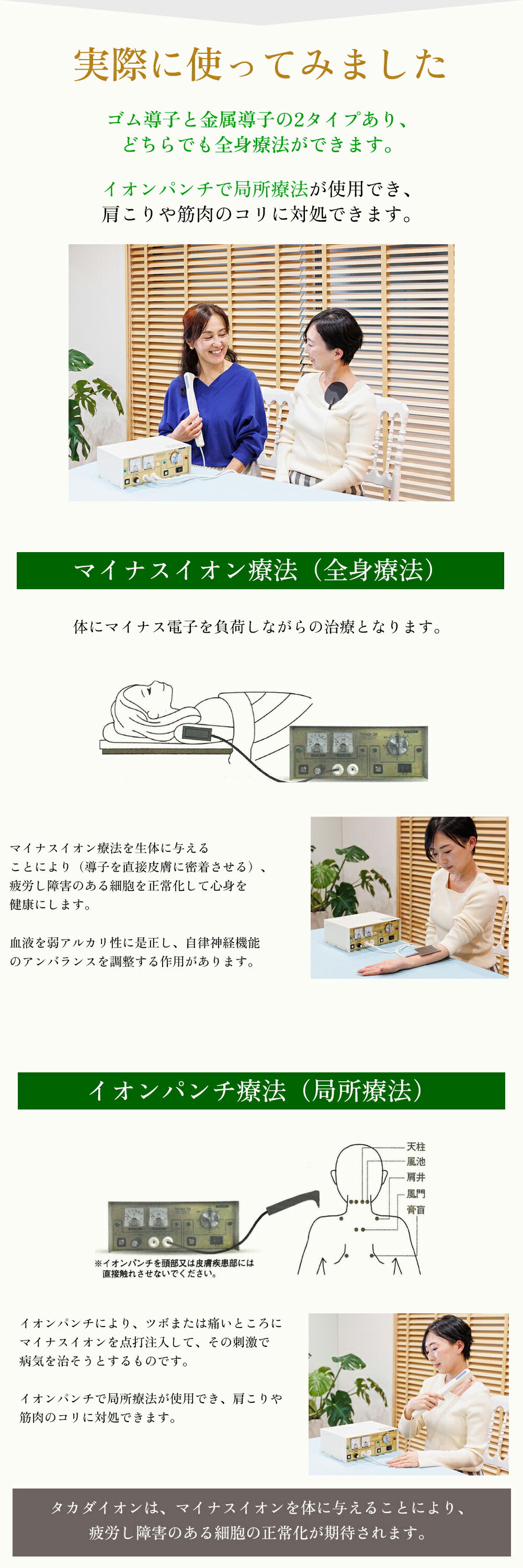 タカダイオン電位治療器