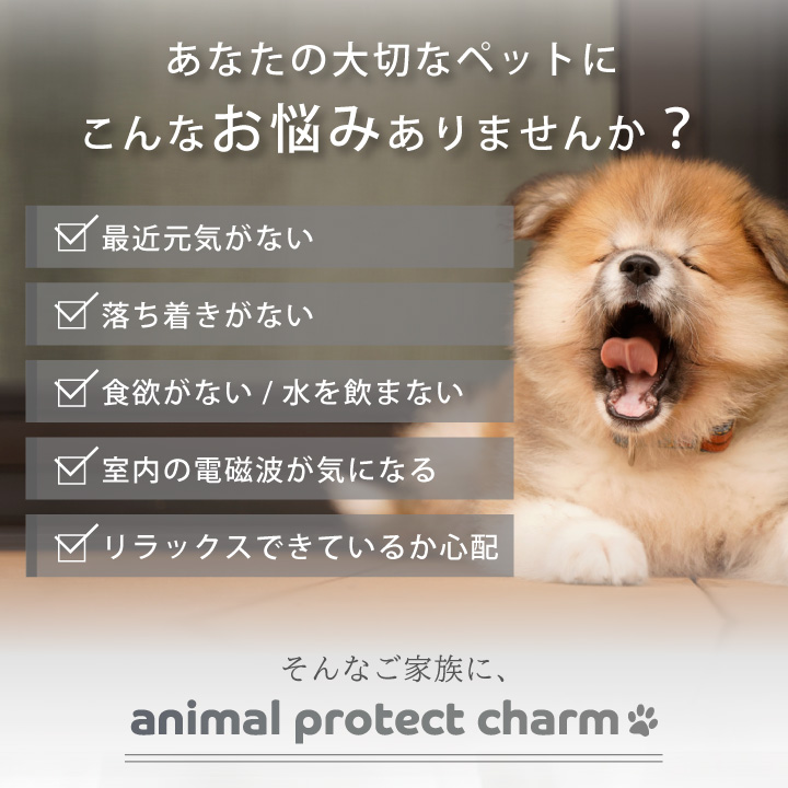 電磁波防止チャーム animal protect charm 4本セット | 電磁波 電磁波防止 電磁波防止グッズ 電磁波対策 電磁波対策グッズ ペット 犬 猫 チャーム キーホルダー