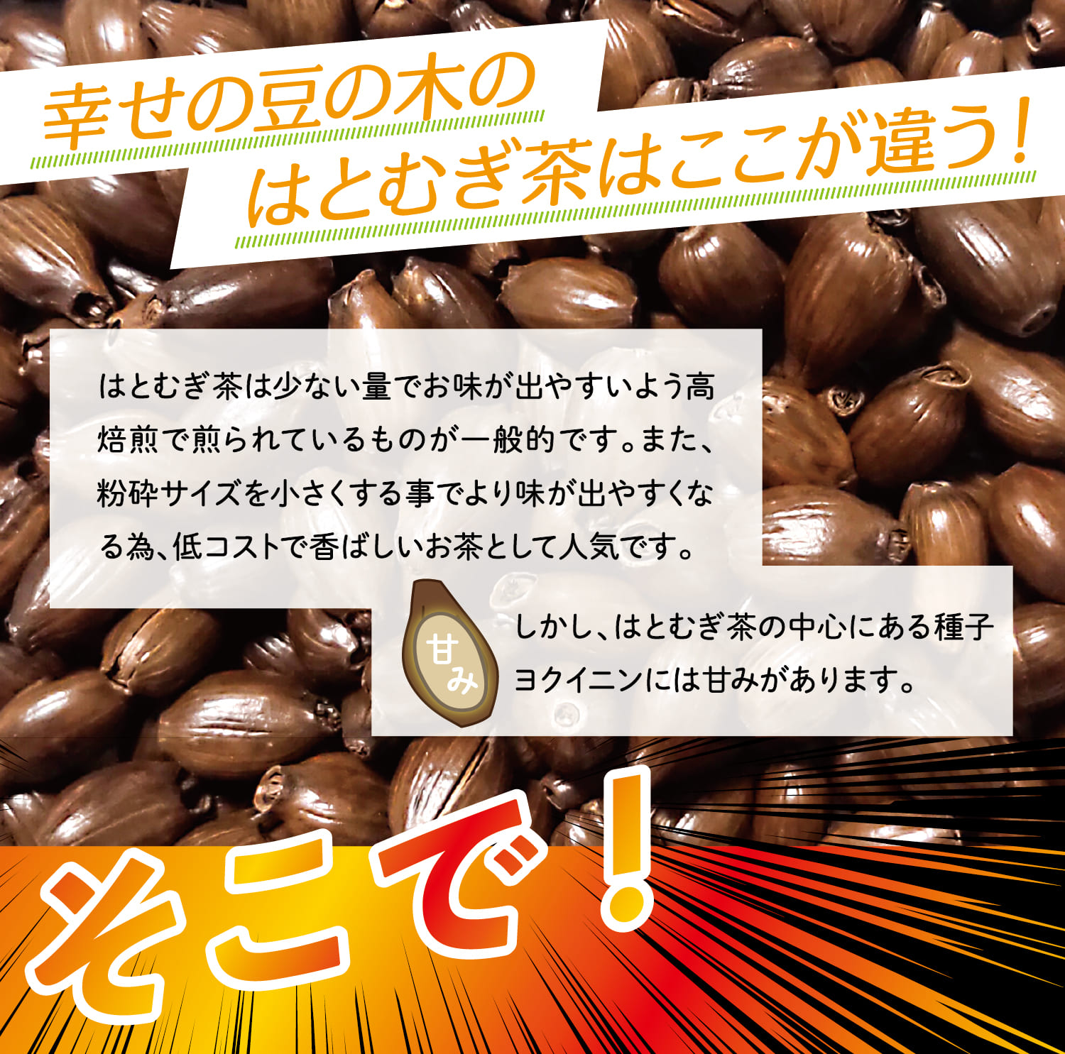 幸せの豆の木の鳩ムギはここが違う