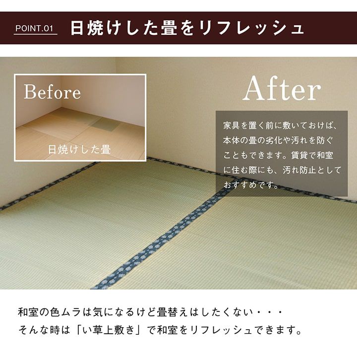 (タイムセール中) い草ラグ 夏用 三六間4.5畳(273×273cm) 日本製 ござ 撥水