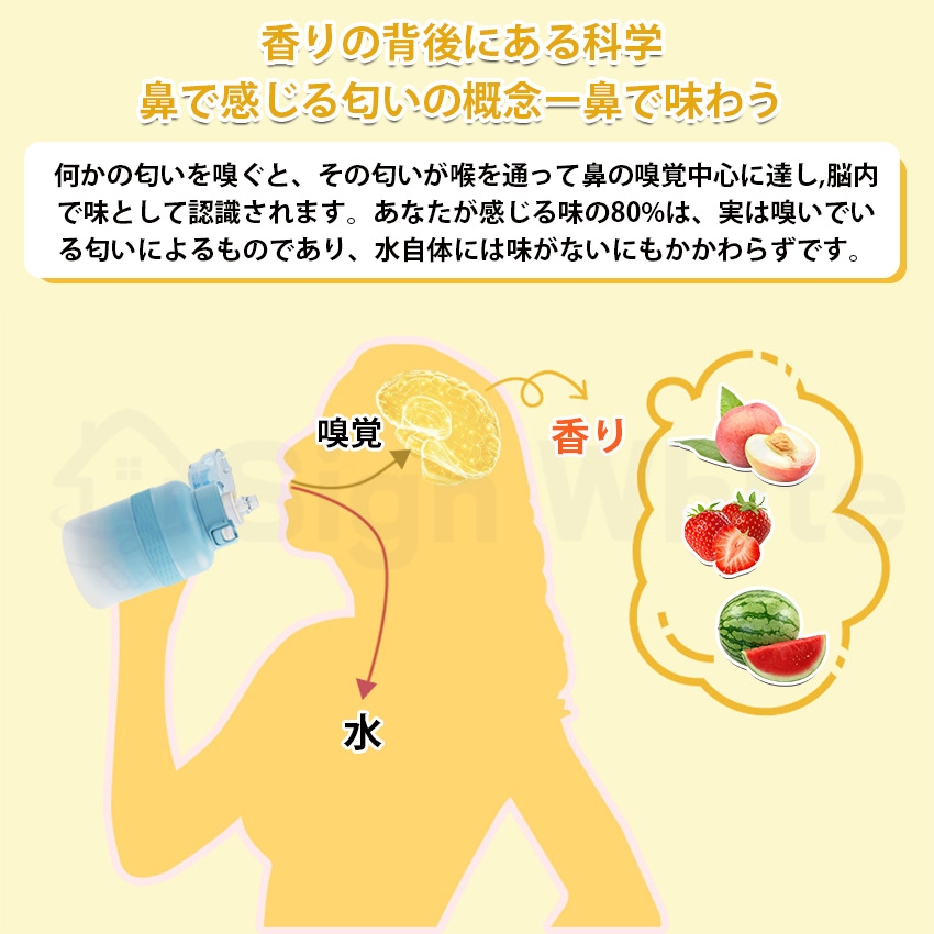   味が変わる 水筒 フレーバーカプセル付き