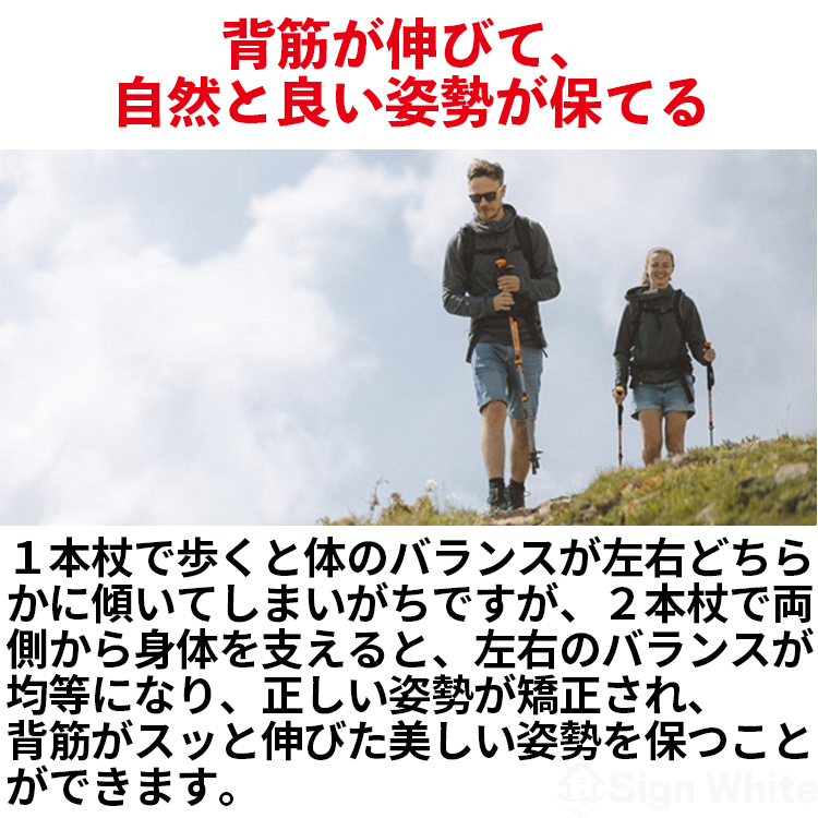 ウォーキングポール 高齢者 超軽量 ウォーキング ポール 高齢 介護 トレッキングポール ノルディック杖 軽量 ウォーキングステッキ ウォーキング用 ステッキ 関連画像5