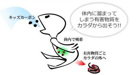 送料無料】キッズカーボン 30粒入×4袋セット 未来を担う子供たちの