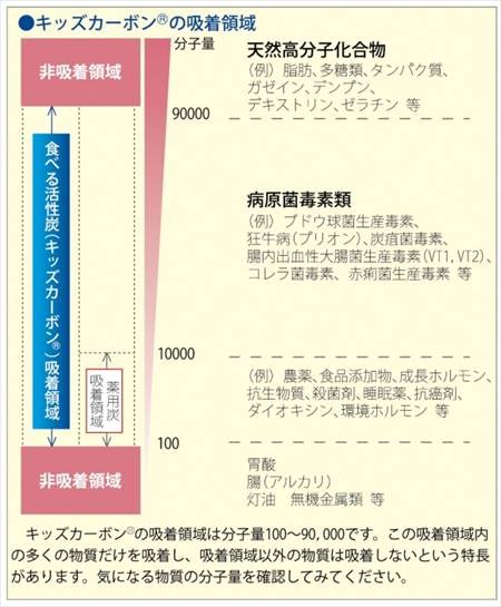 送料無料】キッズカーボン 30粒入×4袋セット 未来を担う子供たちの
