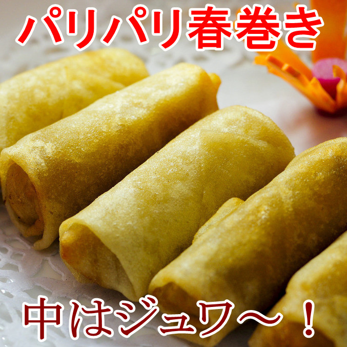 豚肉春巻 はるまき560g（ 35g×16個） 中国産 冷凍商品 中華食材 朝食