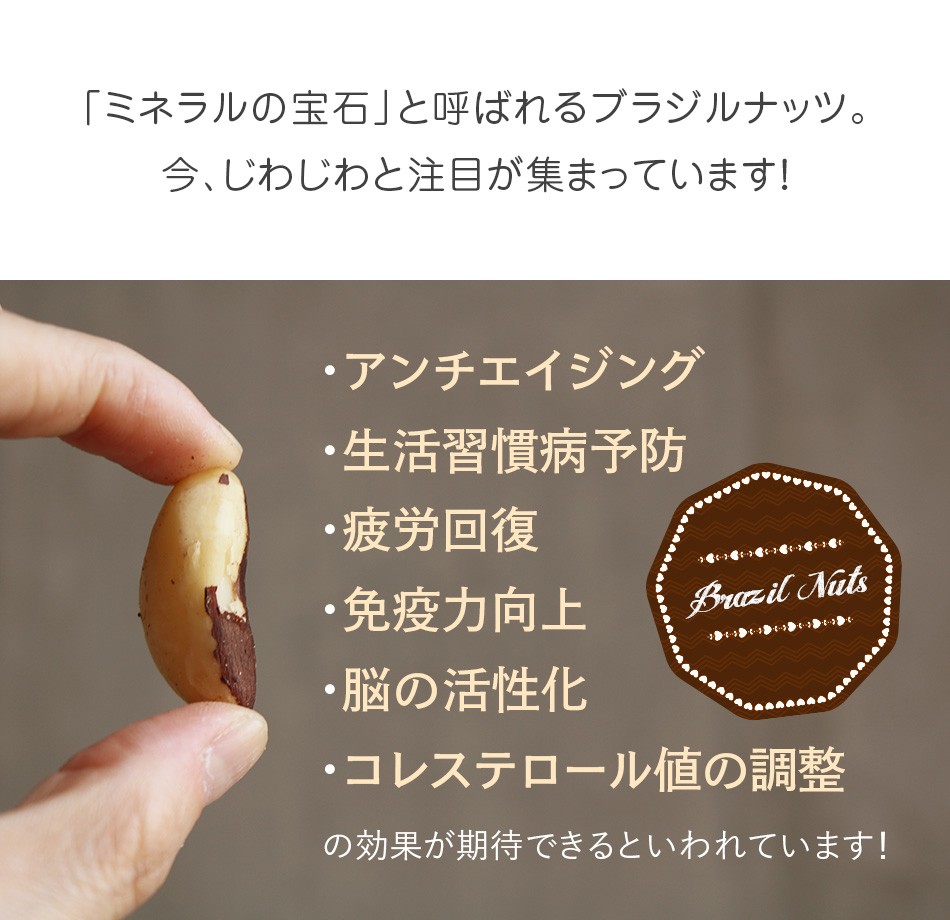 ハッピーナッツカンパニー 生ブラジルナッツ 55g