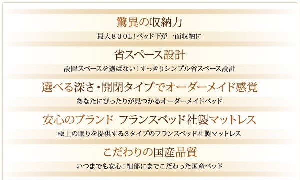 10%OFFセール) (組立設置付) 国産跳ね上げ収納ベッド シングル