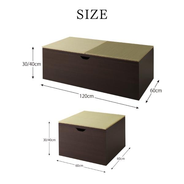 畳ボックス収納 120×180cm ロータイプ 日本製 収納付きデザイン畳 置き