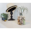 父の日・母の日・贈り物特集