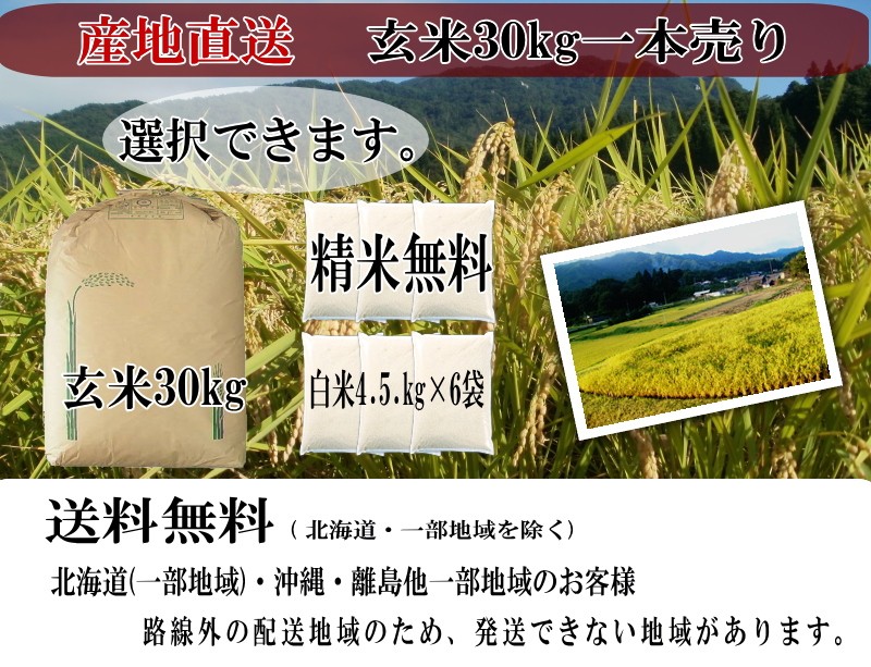 令和5年産 玄米30kg 島根県産きぬむすめ 送料無料(一部地域を 令和5年産 玄米30kg 島根県産きぬむすめ 送料無料(一部地域を