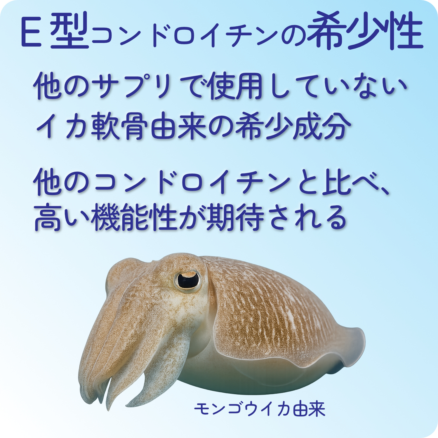 コンドロイチン サプリ E型 イカ軟骨由来 HARELU Eコンディション 90粒 N-アセチルグルコサミン配合 約30日分×2袋 関連画像2