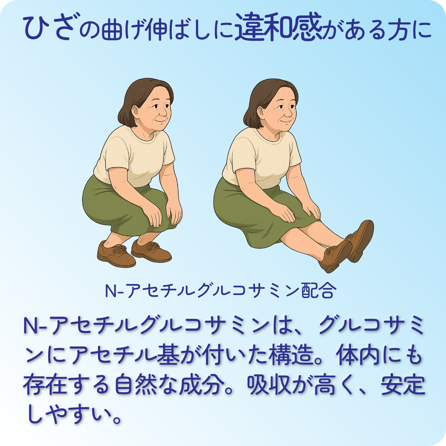 コンドロイチン サプリ E型 イカ軟骨由来 HARELU Eコンディション 90粒 N-アセチルグルコサミン配合 約30日分×2袋 関連画像5
