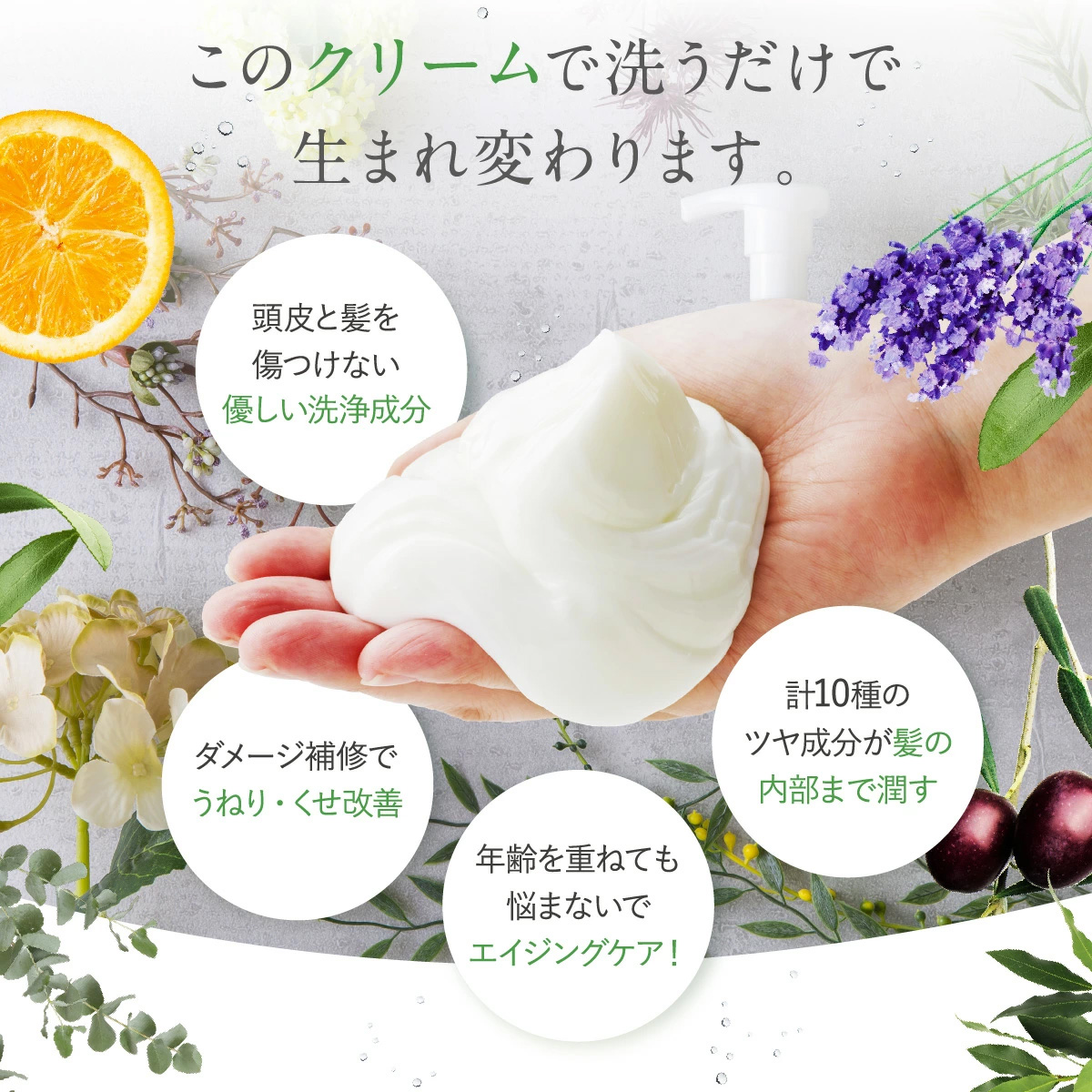 ファンファレ リニューアル クリームシャンプー わたしのきまり