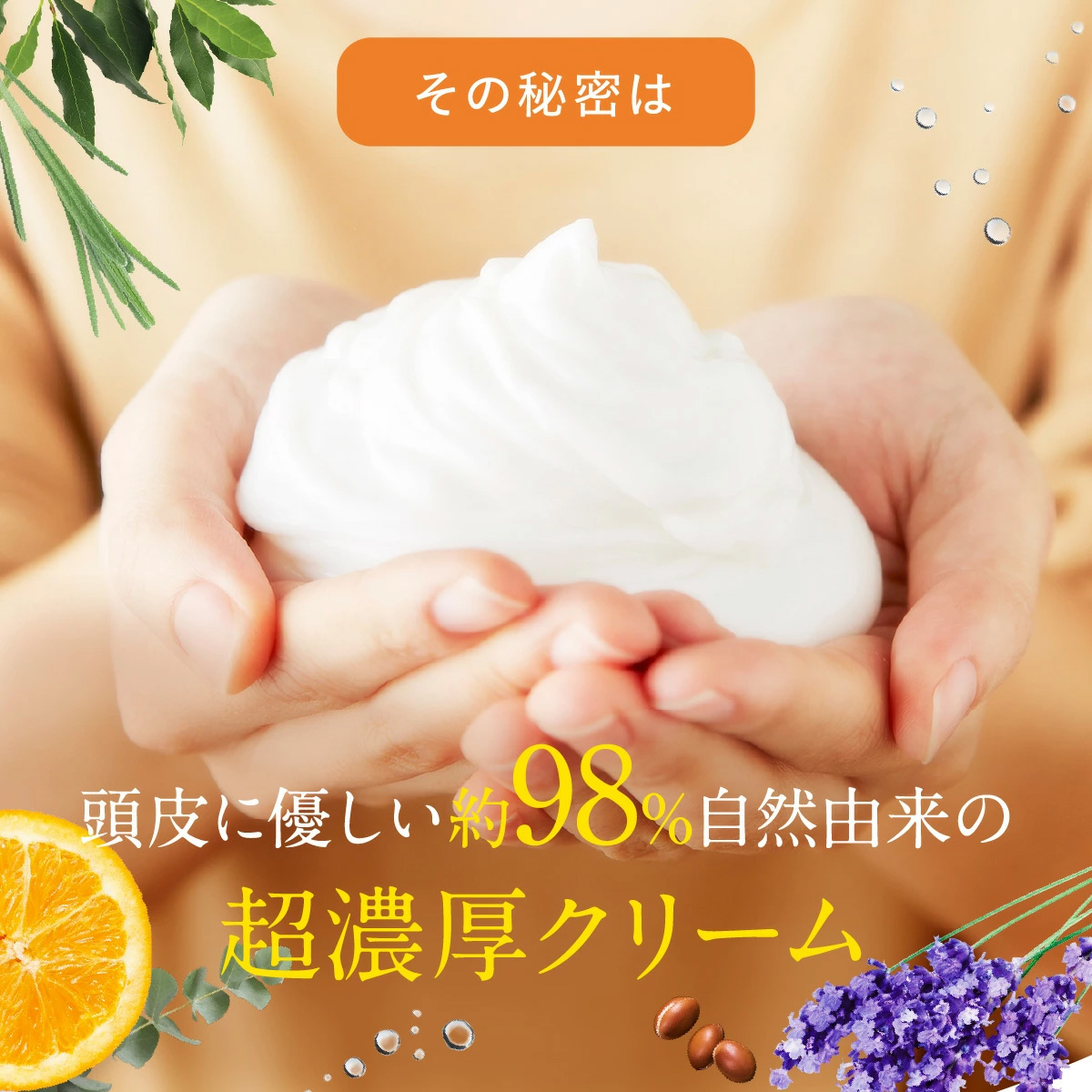 ファンファレ リニューアル クリームシャンプー わたしのきまり ファンファレ リニューアル クリームシャンプー わたしのきまり
