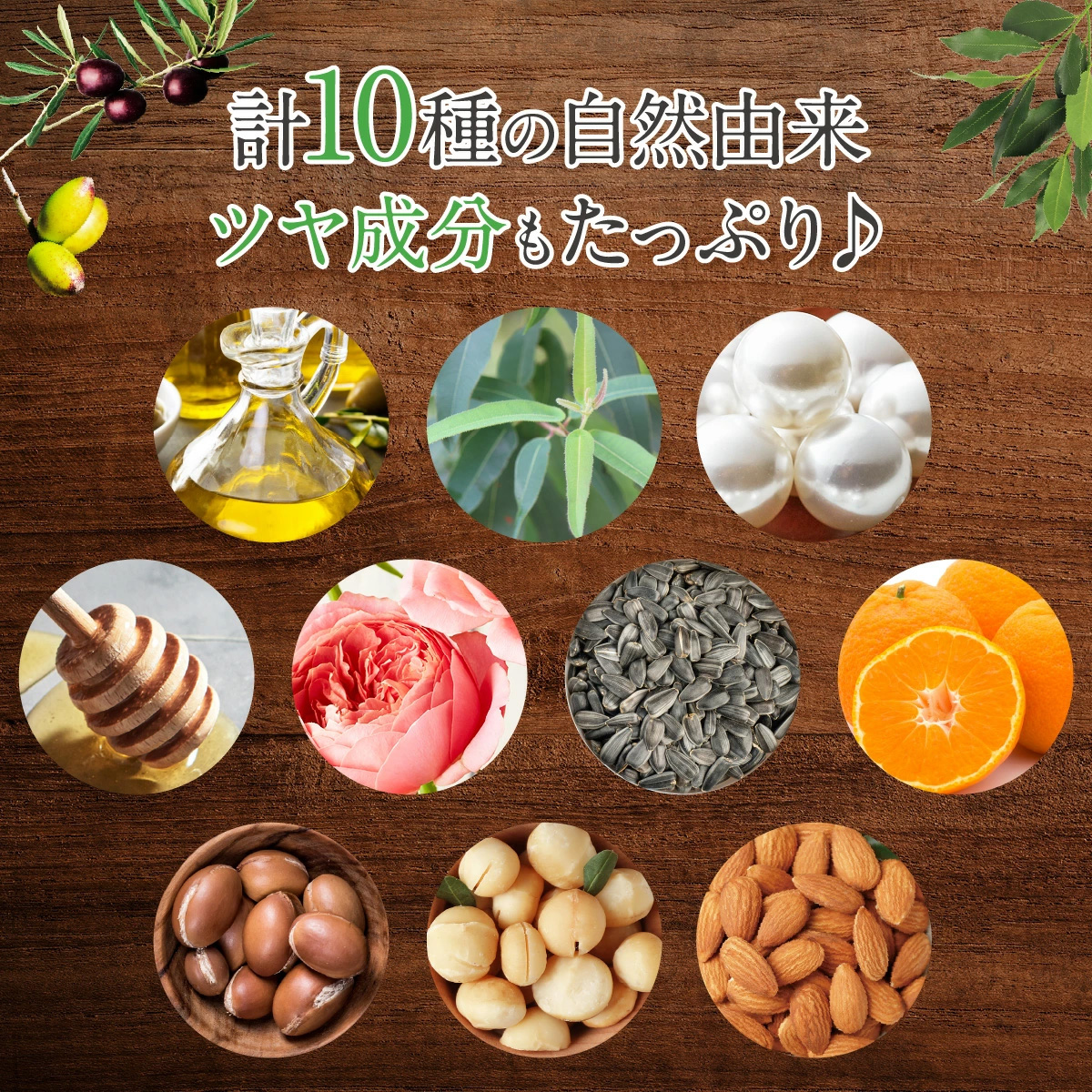 ファンファレ リニューアル クリームシャンプー わたしのきまり