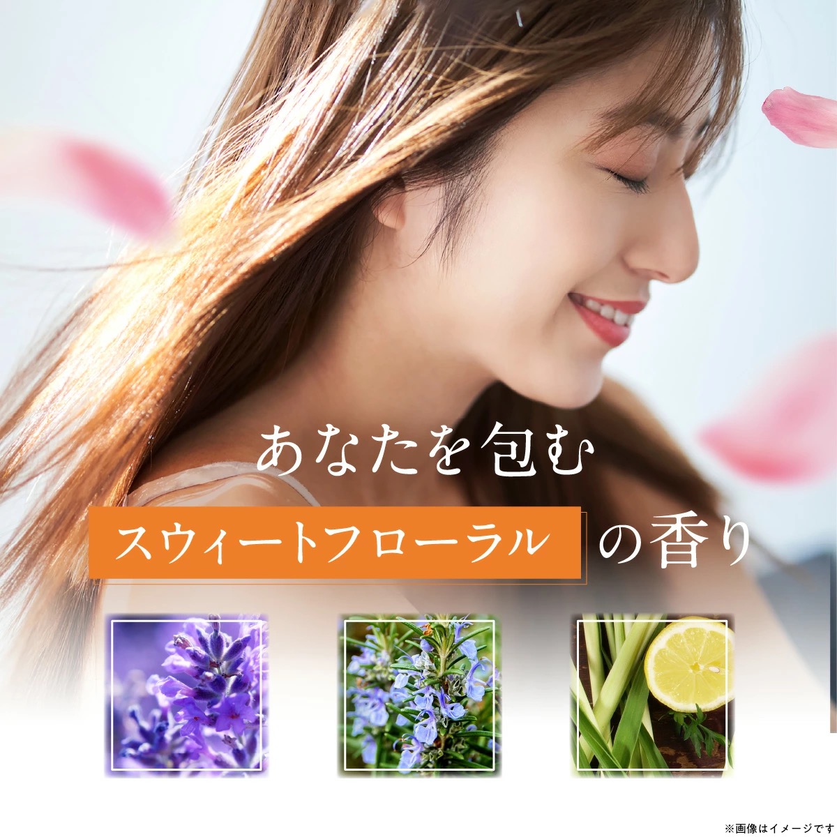 ファンファレ リニューアル クリームシャンプー わたしのきまり