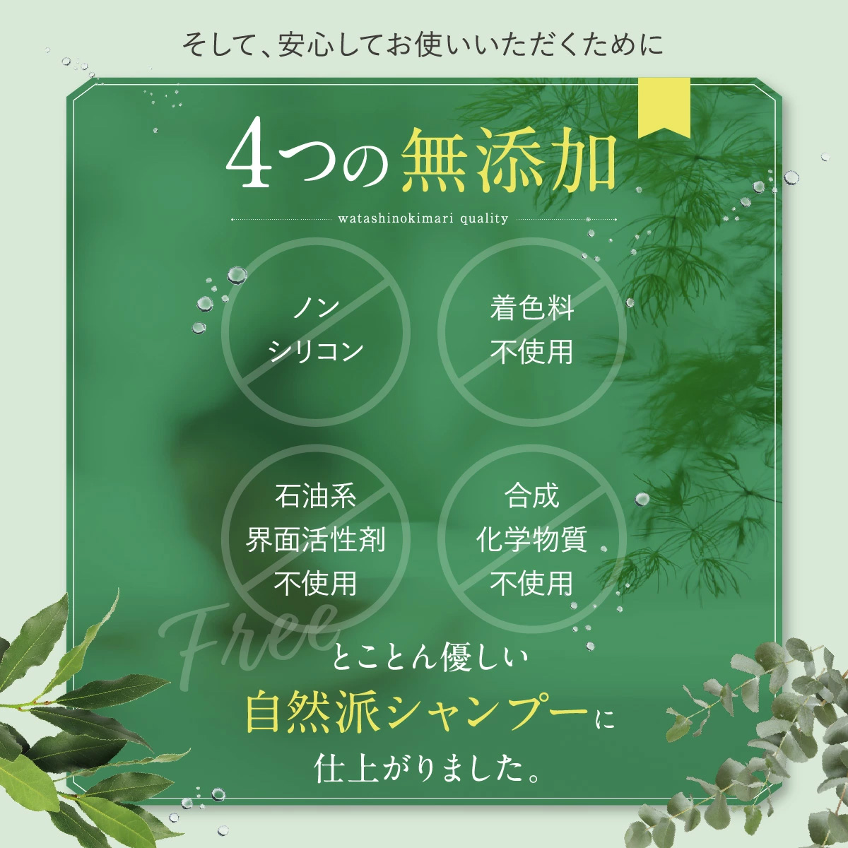 ファンファレ リニューアル クリームシャンプー わたしのきまり