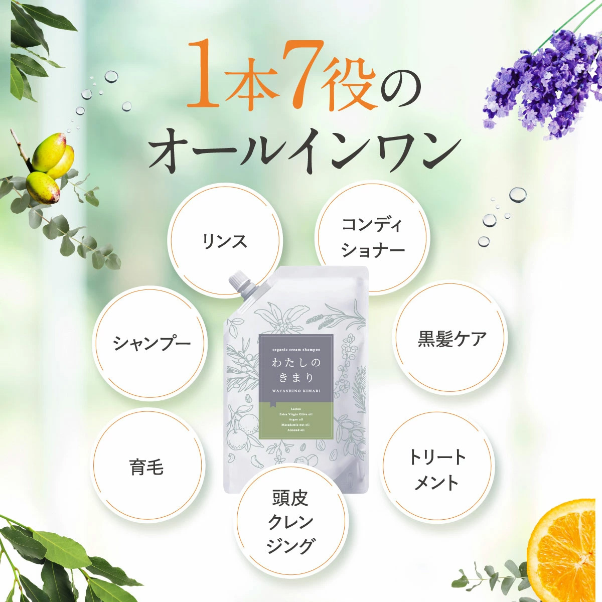 ファンファレ リニューアル クリームシャンプー わたしのきまり