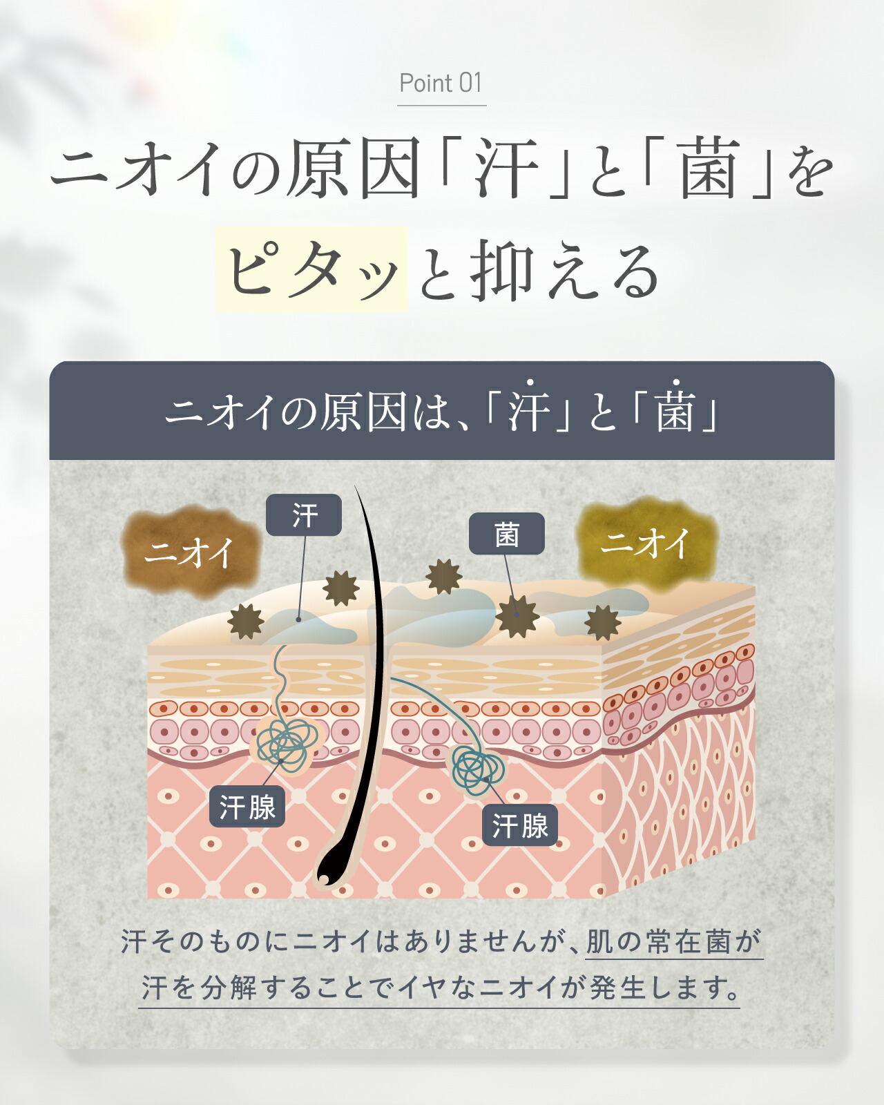 公式】デオドラントクリーム 3本セット MATOWA デオドラント ワキガ