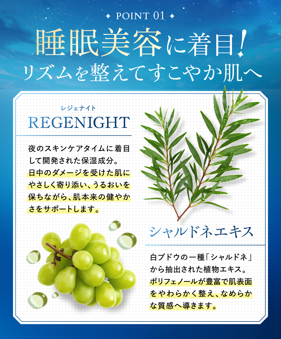 SAN. 【 公式 】 サン ナイトクリーム スリーピングマスク 保湿 爆買