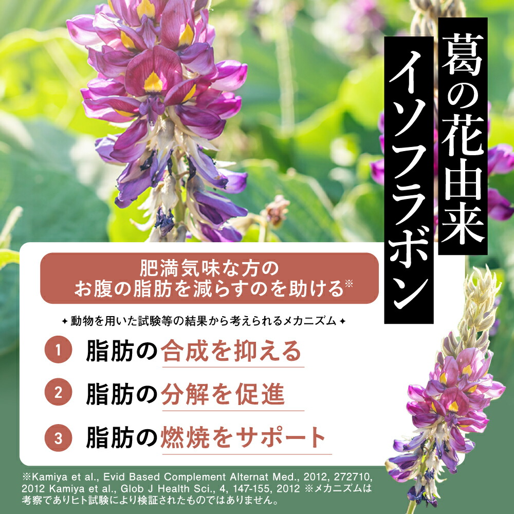 ファンファレ 【公式】 SOY it protein 2個セット そいっとプロテイン