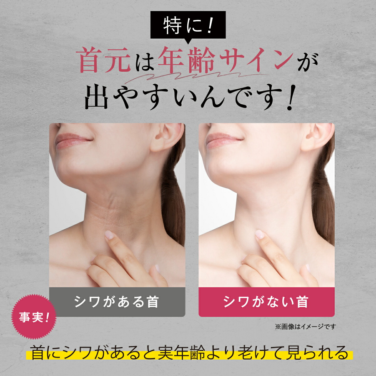 ファンファレ ととのうぐらす（リニューアル） : Hareruya.Yahoo