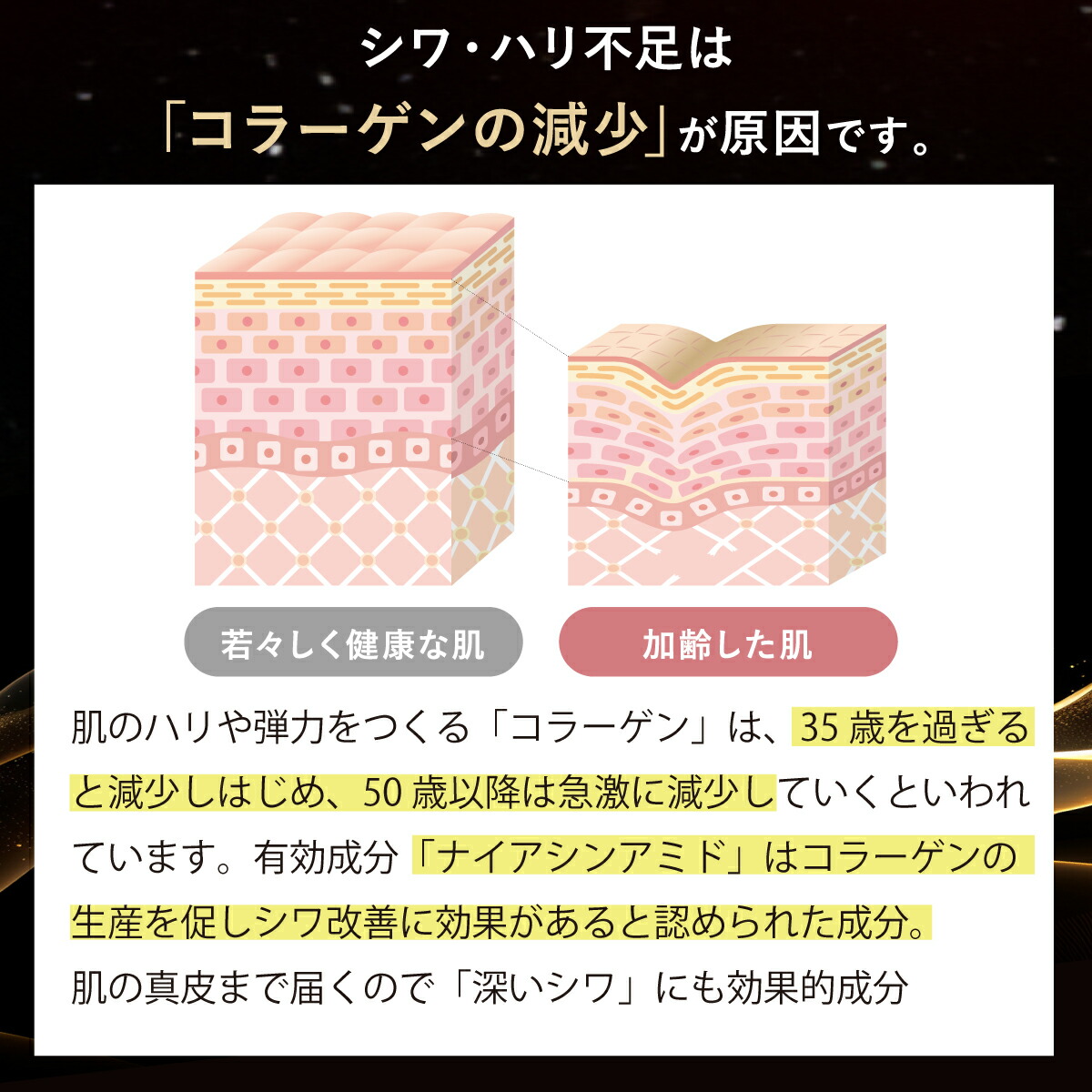 ファンファレ ととのうぐらす（リニューアル） : Hareruya.Yahoo