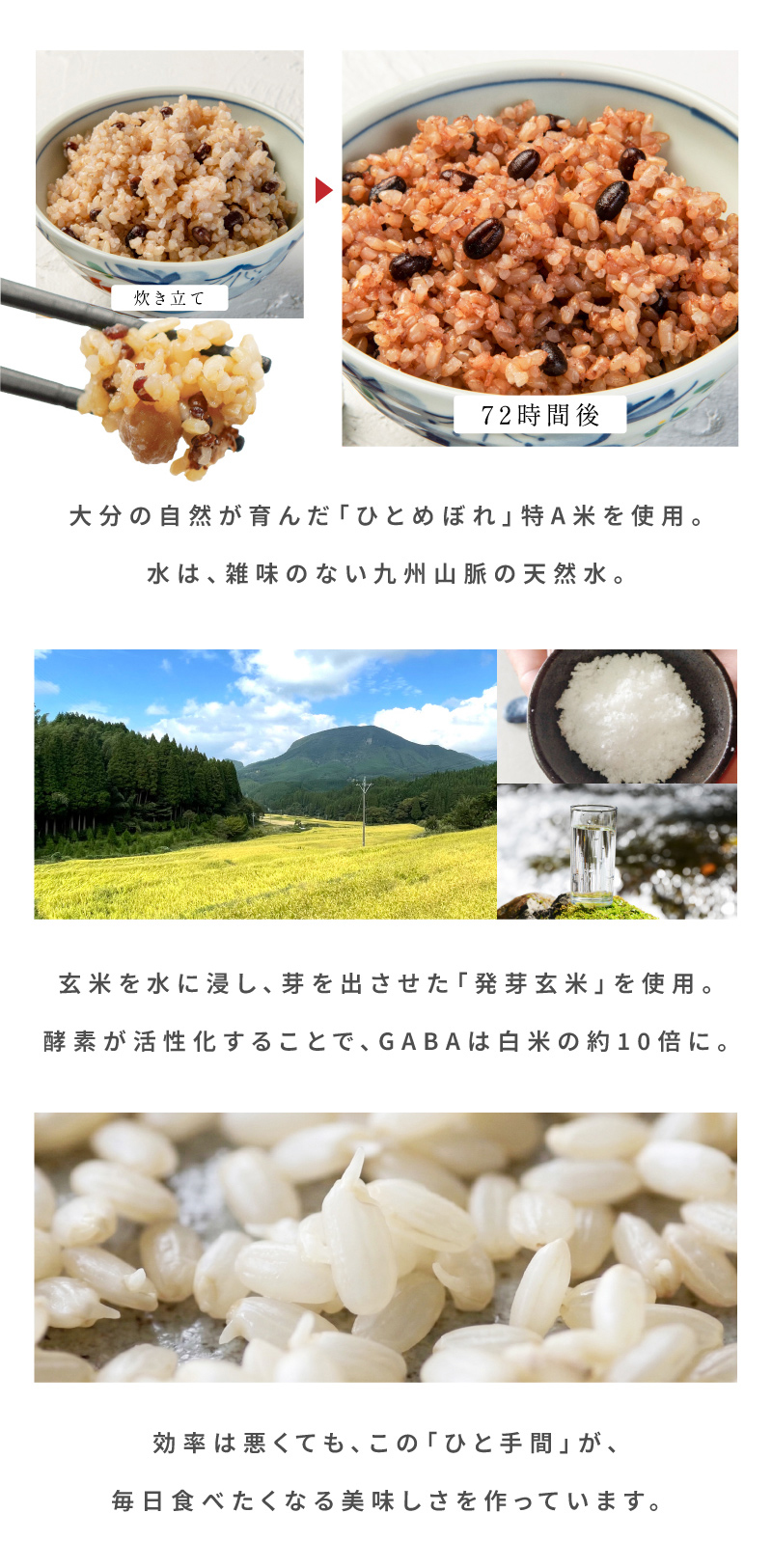大分の自然が育んだ「ひとめぼれ」特A米を使用。水は、雑味のない九州山脈の天然水。玄米を水に浸し、芽を出させた「発芽玄米」を使用。酵素が活性化することで、GABAは白米の約10倍に。効率は悪くても、この「ひと手間」が、毎日食べたくなる美味しさを作っています。