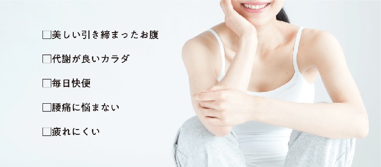 メール便なら送料無料 ミズノ Mizuno 腹筋プルレ 腹筋 筋トレ 下腹 ダイエット 座椅子 ふっきん 在宅 楽天1位 Www Muslimaidusa Org