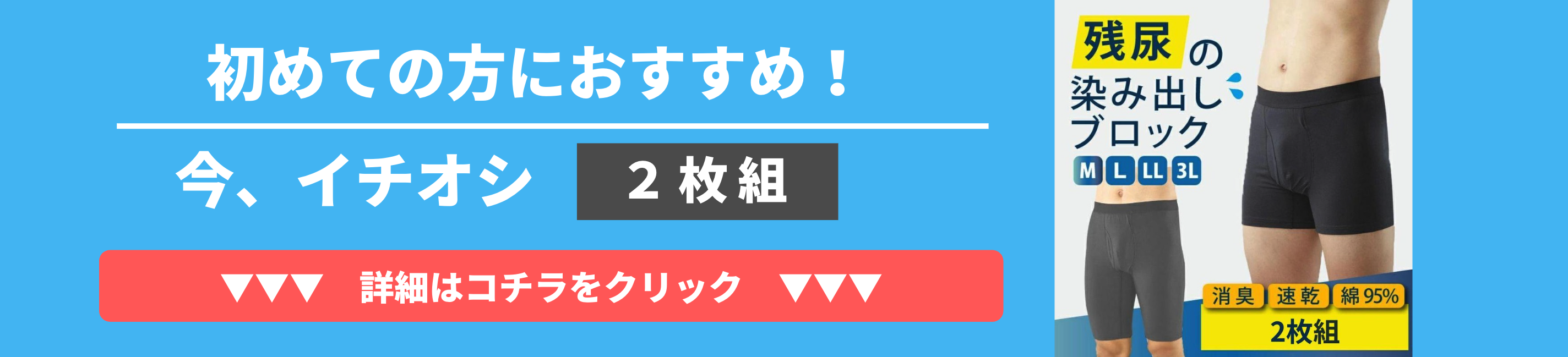 2枚組