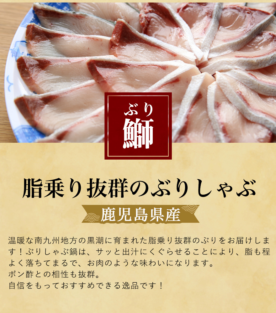 プロが選んだめちゃうま 鰤しゃぶセット＜4〜5人前＞