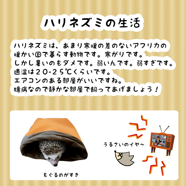 はりねずみんみん共和国 - ようこそ！みんみん共和国へ！｜Yahoo