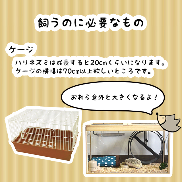 ハリネズミ用ケージ中古はりねずみんみん共和国