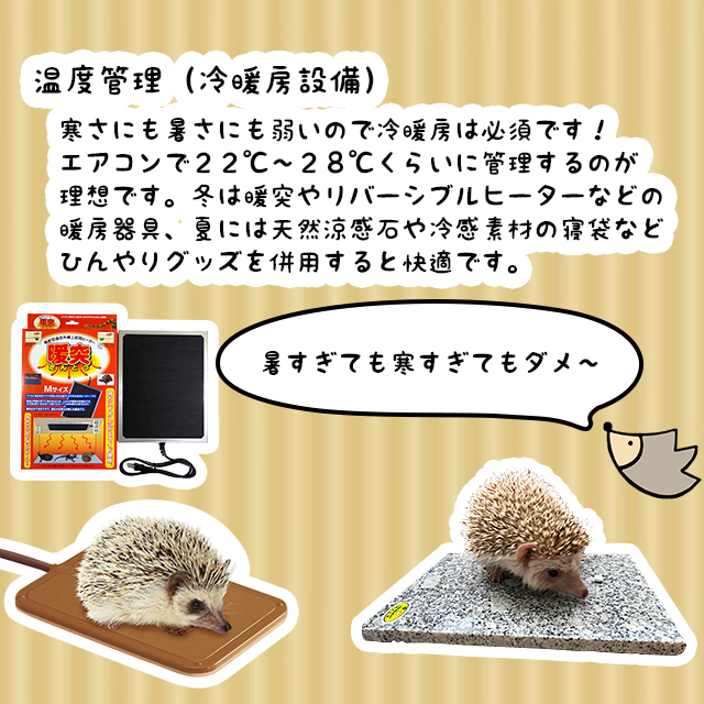 はりねずみんみん共和国 - ようこそ！みんみん共和国へ！｜Yahoo