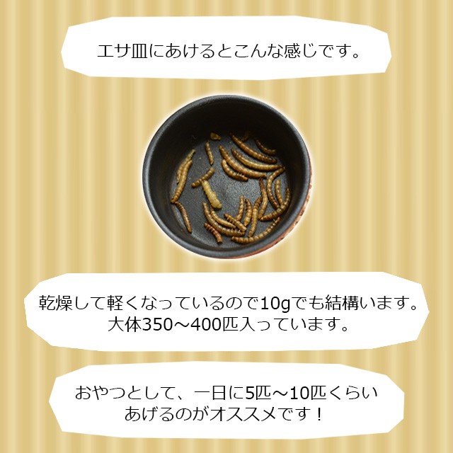 ミルワーム 乾燥 ドライミルワーム 1000g✖️2 小動物 おやつフード 餌 Amazon | 高タンパク 高栄養 ドライミルワーム 乾燥ミルワーム