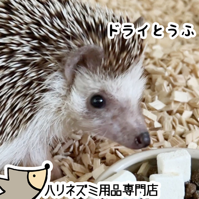 ゆうパケットOK ドライとうふ 5g ハリネズミのおやつ 豆腐 フード エサ