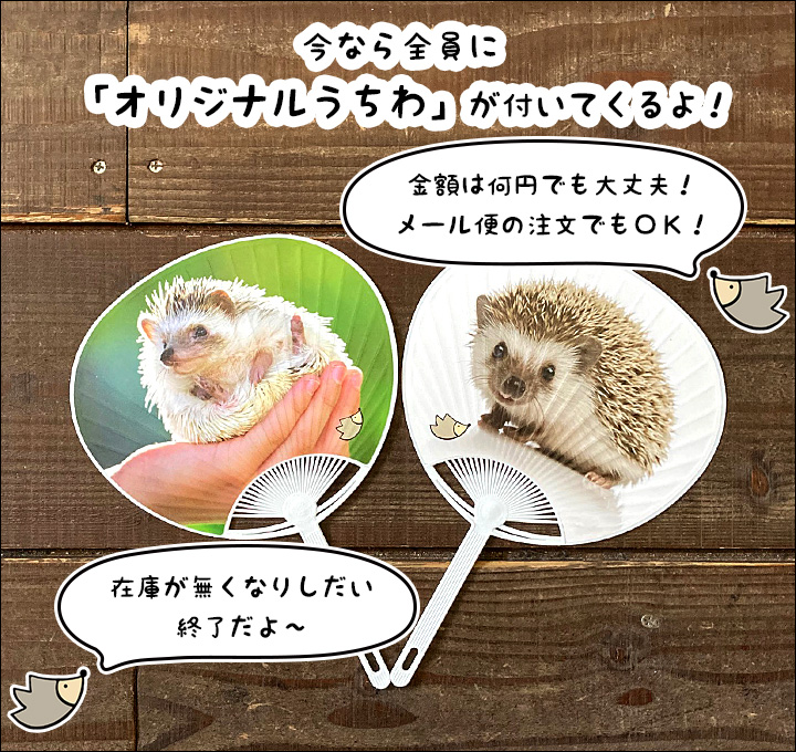 はりねずみんみん共和国 - Yahoo!ショッピング