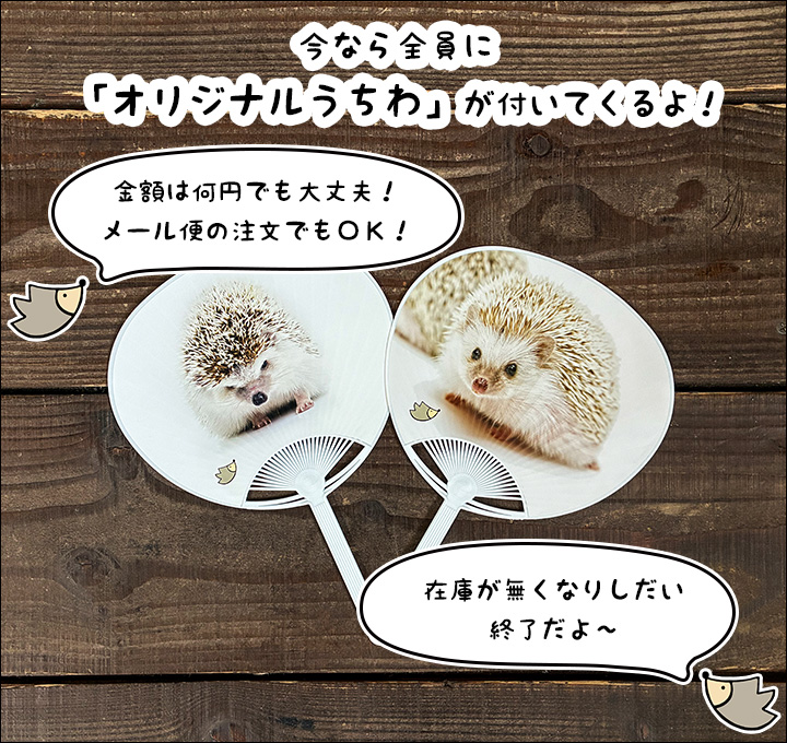 はりねずみんみん共和国 暖突 Mサイズ レップジャパン 赤外線上部