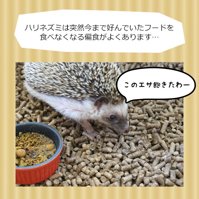 ゆうパケットOK レバーパウダー 15g はり...の詳細画像4