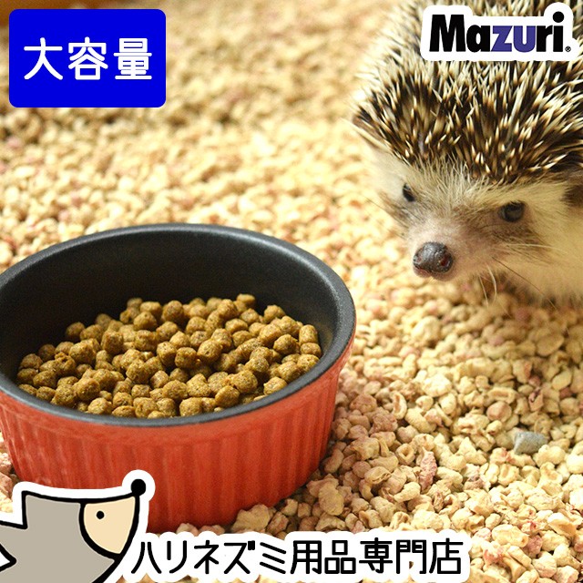 ハリネズミ飼育用品 ハリネズミ飼育セットA 〜基本コース〜 』 SBS