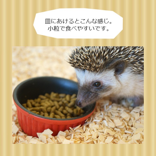 ニチドウ メディハリネズミ 300g フード エサ 餌 主食 主食フード