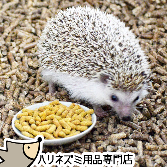新商品！ゆうパケットOK ハリネズミのむしたまペレットフード「さなぎ」 300g はりねずみんみん共和国オリジナルフード01 フード エサ 餌 メール便対応 | はりねずみんみん共和国