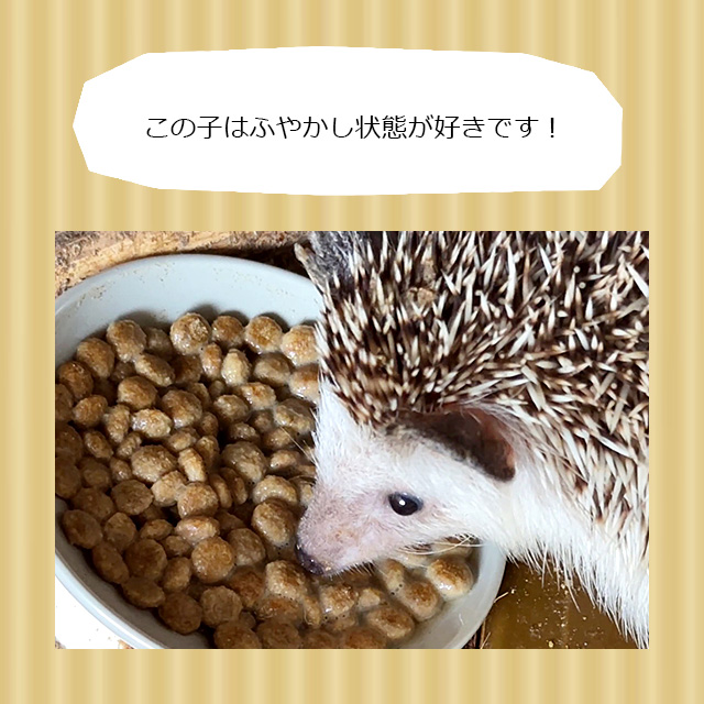 はりねずみんみん共和国 ゆうパケットOK ハリネズミのむしたまペレット
