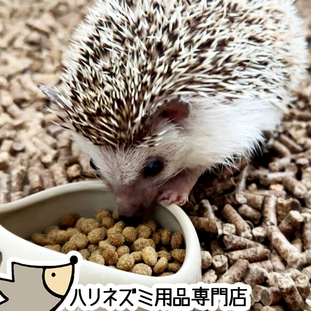 はりねずみんみん共和国 ゆうパケットOK ハリネズミのむしたまペレット