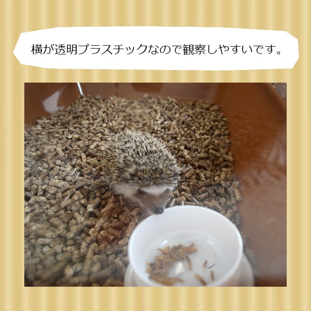 ハリネズミの小さいケージレビュー「マルチプレイス」